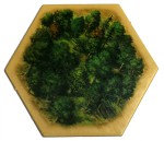 Forest v4 - 5th