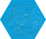 6E SF - Sea Hex