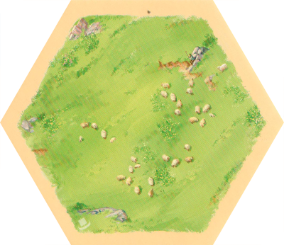 6E SF - Sheep 01