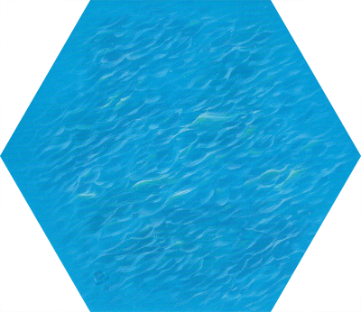 6E SF56p - Sea Hex