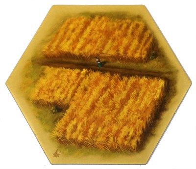 TDA - Fields 02