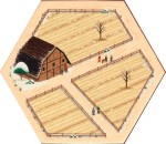 Wheat 04 - Winter 2025